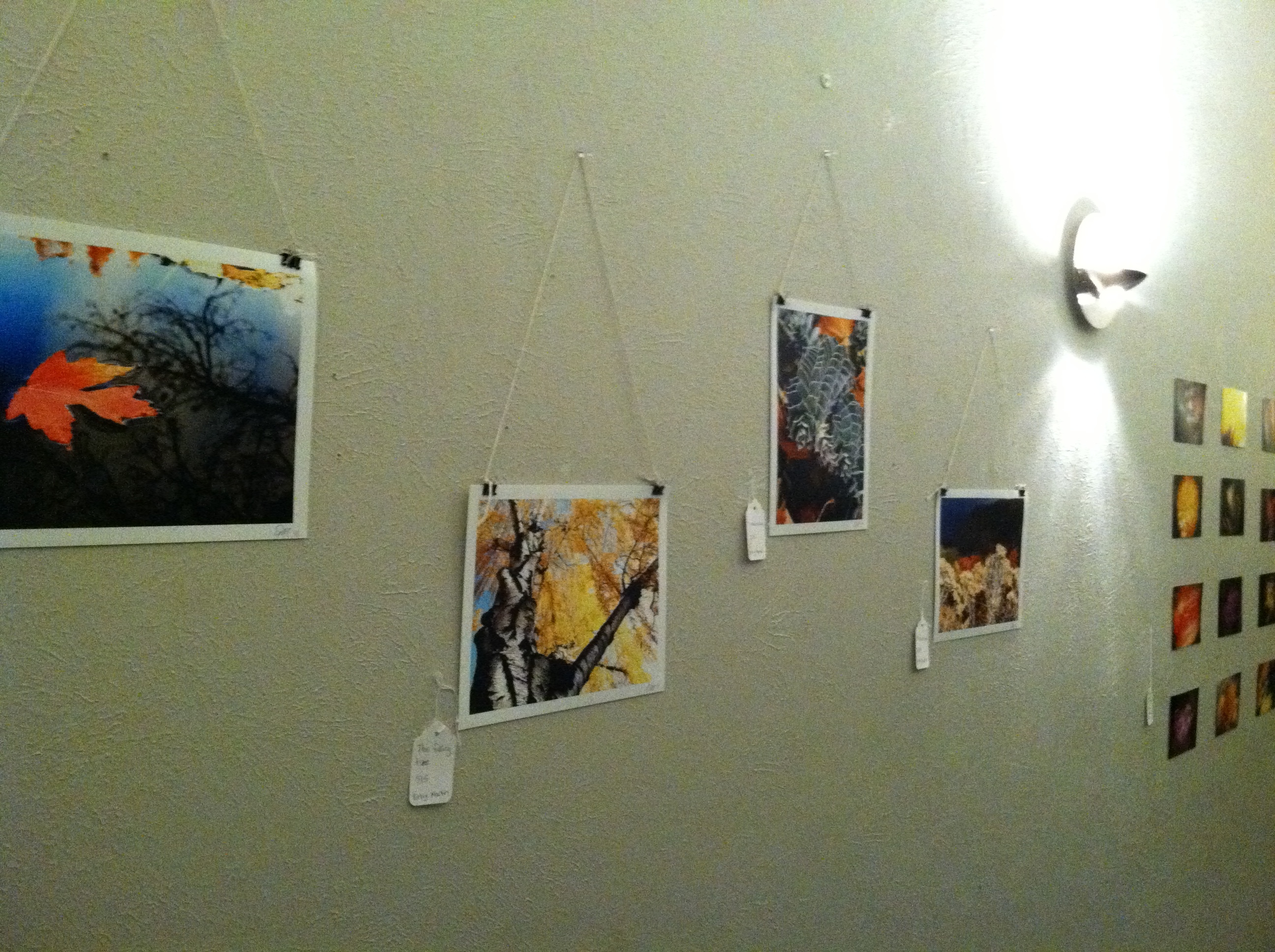 Hellgate Photo Club